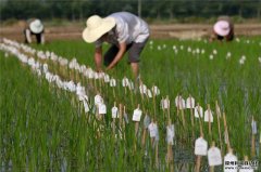 農(nóng)業(yè)氣象觀測(cè)設(shè)備有哪些特征