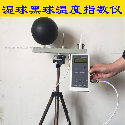 黑球溫度計直射優質商家